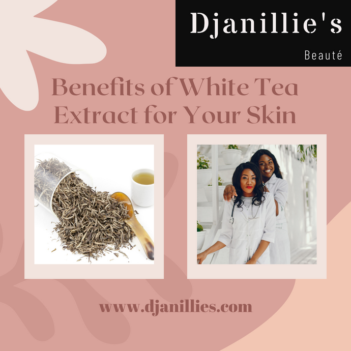 Benefits of White Tea Extract for Your Skin